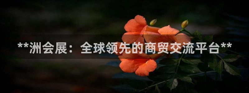 果博公司会员账号开户：**洲会展：全球领先的商贸交流平台**