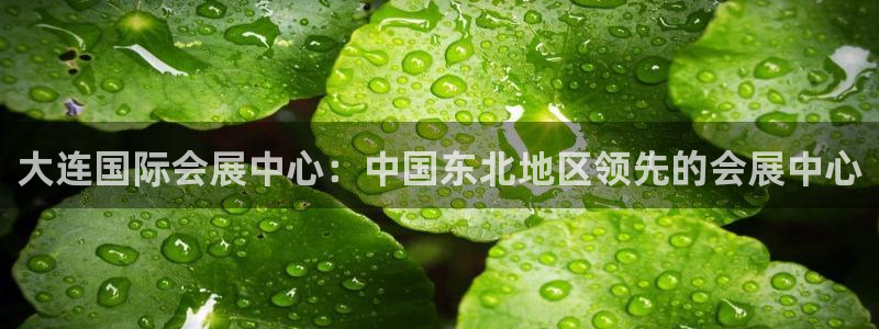 果博手机版官方下载：大连国际会展中心：中国东北地区领先的会展中心