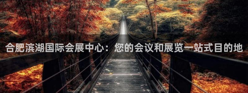 果博注册会员维wckk389：合肥滨湖国际会展中心：您的会议和展览一站式目的地