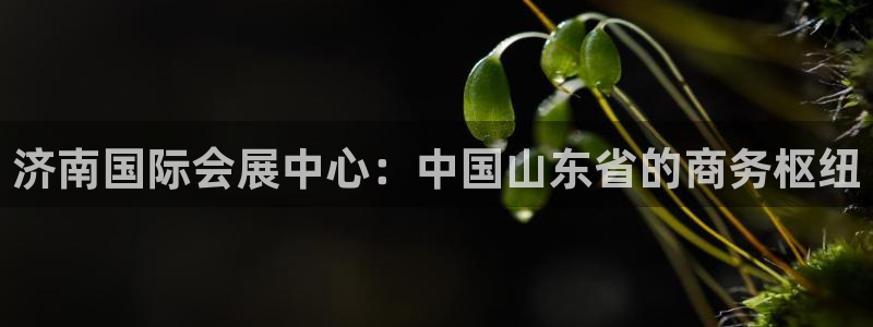果博公司电话：济南国际会展中心：中国山东省的商务枢纽