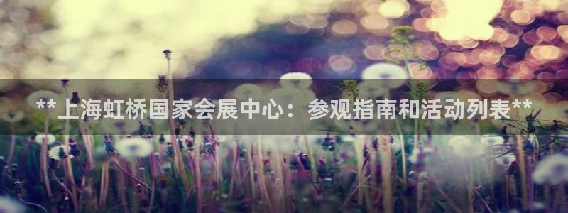 果博平台真实吗知乎怎么样：**上海虹桥国家会展中心：参观指南和活动列表**
