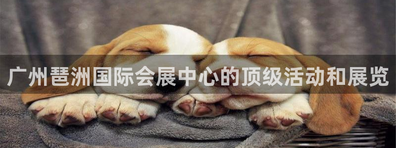果博公司开户：广州琶洲国际会展中心的顶级活动和展览