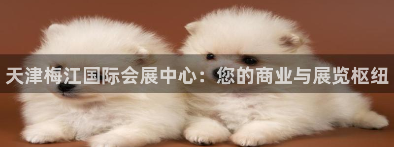 果博公司电话：天津梅江国际会展中心：您的商业与展览枢纽