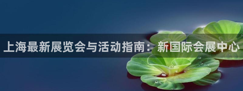 果博代理电话多少号码：上海最新展览会与活动指南：新国际会展中心