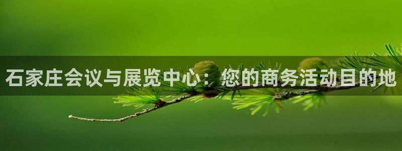 果博平台真实吗安全吗：石家庄会议与展览中心：您的商务活动目的地