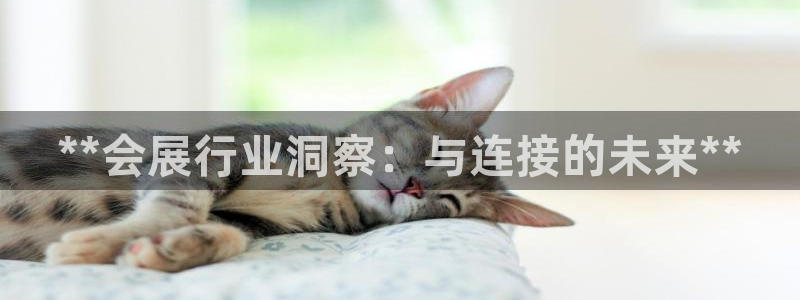 果博注册会员维wckk389：**会展行业洞察：与连接的未来**