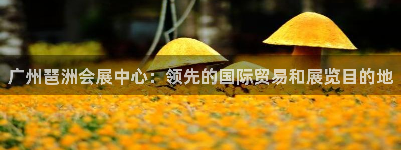 果博公司客服怎么样：广州琶洲会展中心：领
