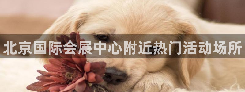 果博怎么注册账号：北京国际会展中心附近热门活动场所