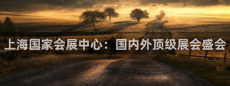 果博注册链接：上海国家会展中心：国内外顶级展会盛会