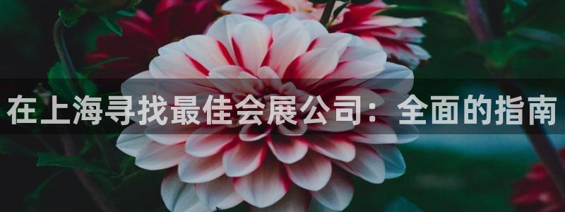 果博公司在线客服：在上海寻找最佳会展公司：全面的指南