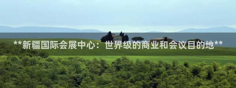 果博是怎么登录的：**新疆国际会展中心：世界级的商业和会议目的地**