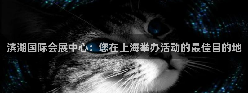 果博注册平台：滨湖国际会展中心：您在上海举办活动的最佳目的地