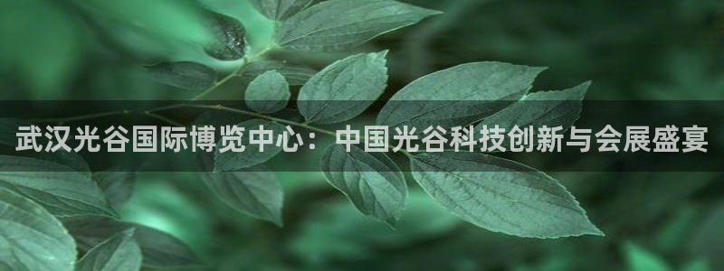 果博账号注册：武汉光谷国际博览中心：中国光谷科技创新与会展盛宴