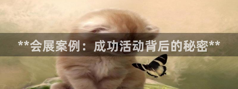果博公司游戏网址：**会展案例：成功活动