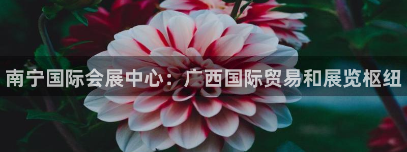果博公司开户：南宁国际会展中心：广西国际