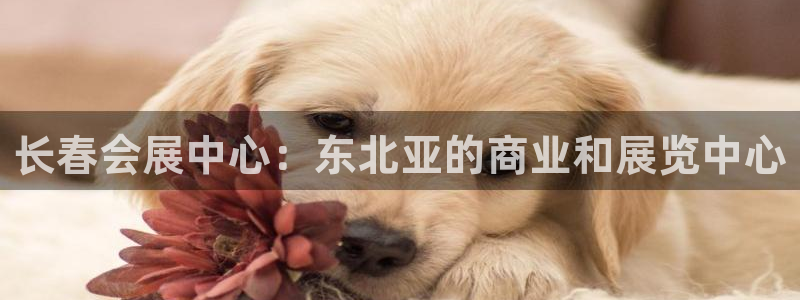 果博注册平台怎么注册的：长春会展中心：东北亚的商业和展览中心