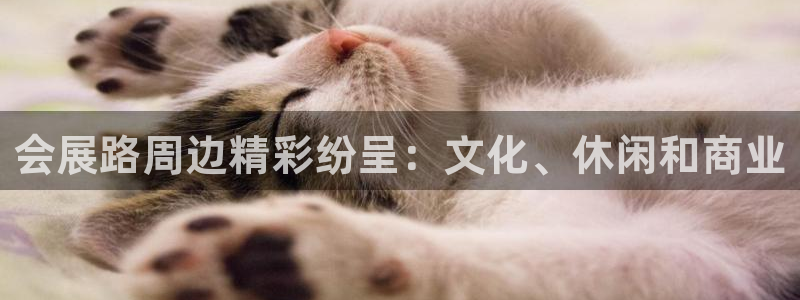 果博平台真实吗知乎：会展路周边精彩纷呈：