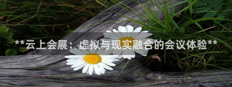 果博注册充值多少钱：**云上会展：虚拟与现实融合的会议体验**
