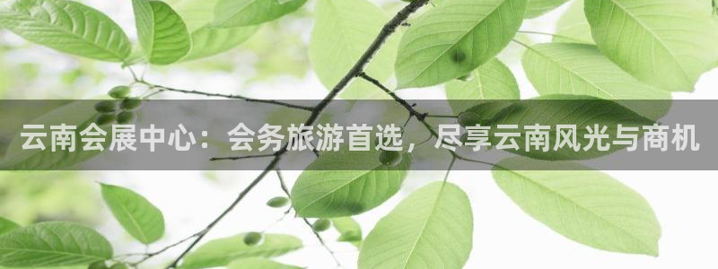 果博注册：云南会展中心：会务旅游首选，尽享云南风光与商机