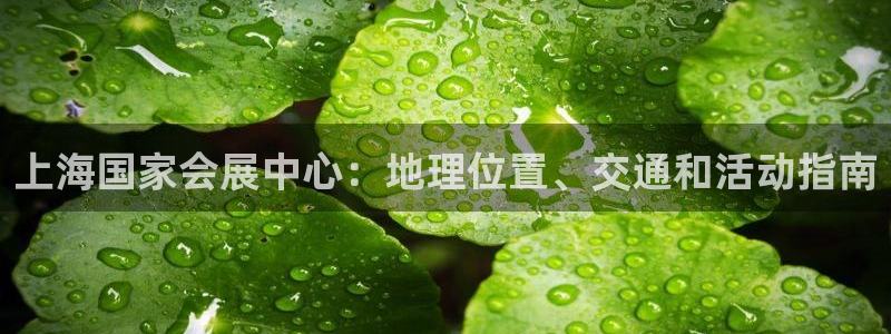 果博注册会员多少钱：上海国家会展中心：地理位置、交通和活动指南