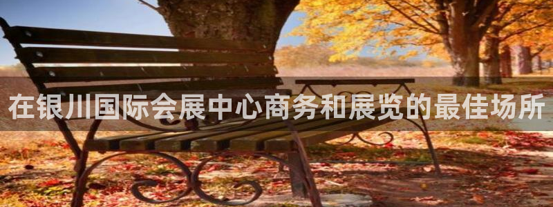 果博平台怎么下载?：在银川国际会展中心商务和展览的最佳场所