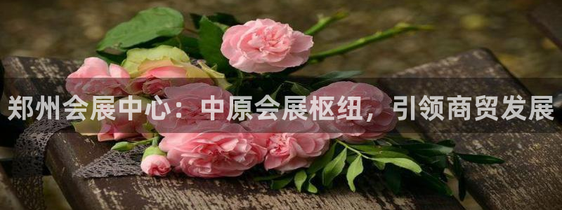 果博平台真实吗知乎：郑州会展中心：中原会展枢纽，引领商贸发展