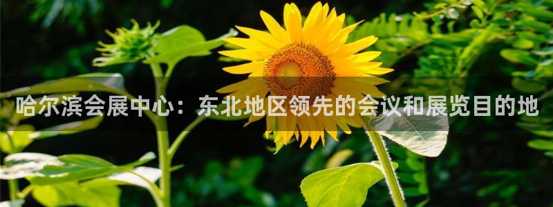 果博注册平台怎么注册账号：哈尔滨会展中心