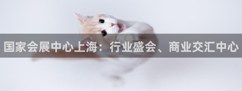 果博代理：国家会展中心上海：行业盛会、商业交汇中心