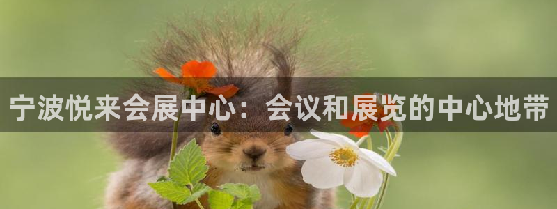果博上分电话：宁波悦来会展中心：会议和展览的中心地带