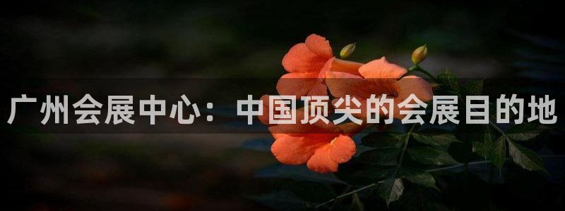 果博公司会员注册账号开户：广州会展中心：中国顶尖的会展目的地