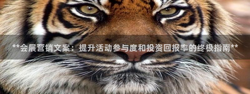 果博客服微信是多少：**会展营销文案：提升活动参与度和投资回报率的终极指南**