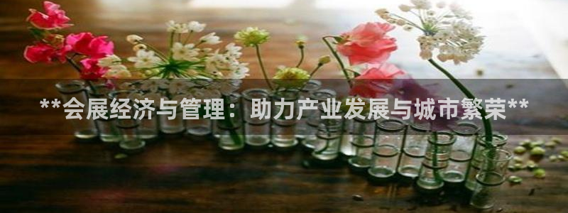 果博客服电话多少：**会展经济与管理：助力产业发展与城市繁荣**