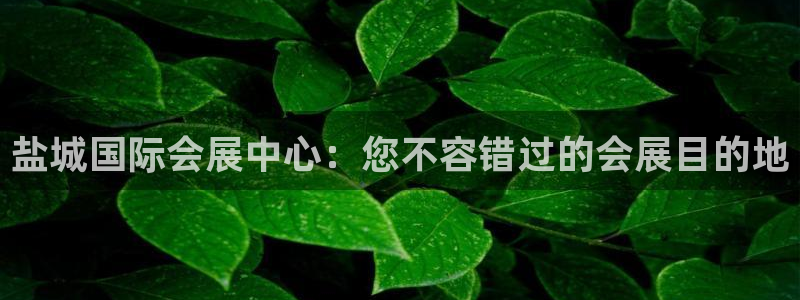 果博平台真实吗安全吗可信吗是真的吗：盐城国际会展中心：您不容错过的会展目的地