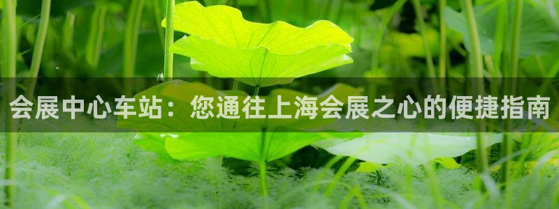 果博平台开户电话查询：会展中心车站：您通往上海会展之心的便捷指南