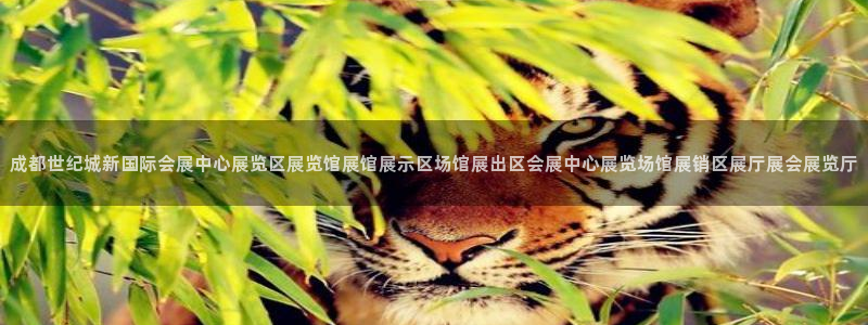 果博集团：成都世纪城新国际会展中心展览区展览馆展馆展示区场馆展出区会展中心展览场馆展销区展厅展会展览厅