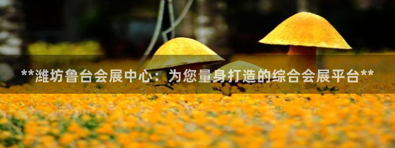 果博环保官网：**潍坊鲁台会展中心：为您量身打造的综合会展平台**