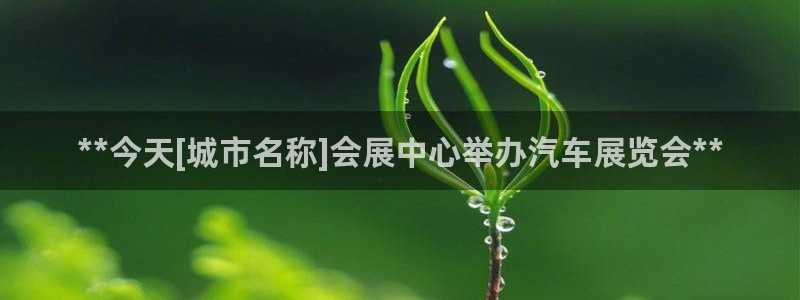 果博公司客服微信：**今天[城市名称]会展中心举办汽车展览会**