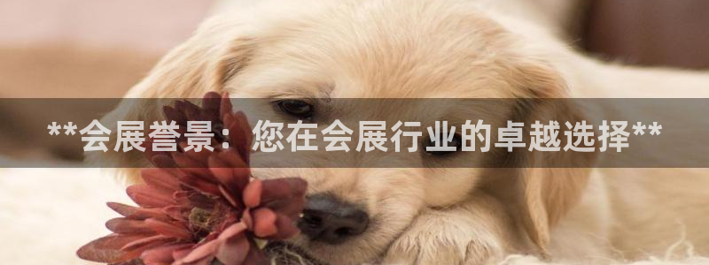 果博注册平台怎么注册账号：**会展誉景：您在会展行业的卓越选择**