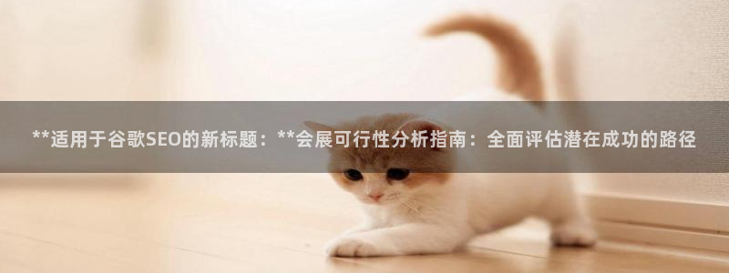 果博代理电话多少号码：**适用于谷歌SEO的新标题：**会展可行性分析指南：全面评估潜在成功的路径