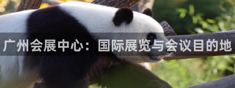 果博东官方网站怎么下载：广州会展中心：国际展览与会议目的地
