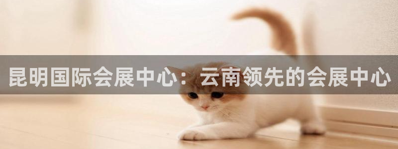 果博公司会员账号开户：昆明国际会展中心：云南领先的会展中心