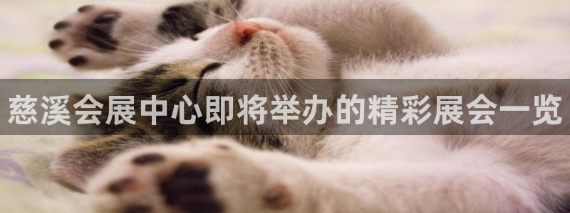 果博官方热线：慈溪会展中心即将举办的精彩展会一览