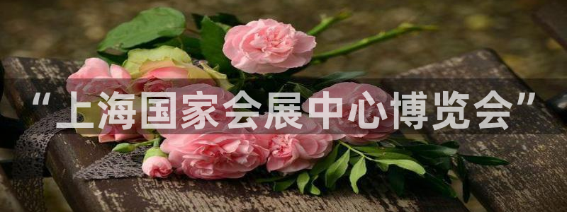 果博公司客服微信公众号：“上海国家会展中心博览会”