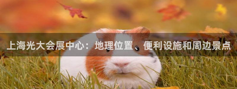 果博注册平台怎么注册账号：上海光大会展中心：地理位置、便利设施和周边景点