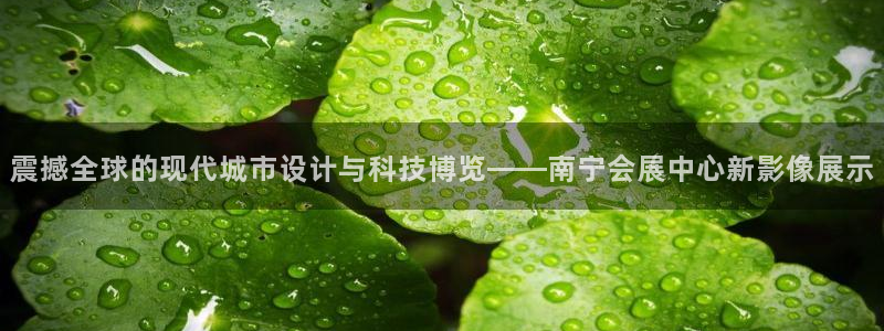 果博注册：震撼全球的现代城市设计与科技博
