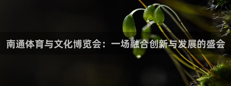 果博注册链接：南通体育与文化博览会：一场
