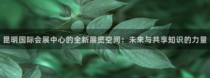 果博管理网：昆明国际会展中心的全新展览空间：未来与共享知识的力量