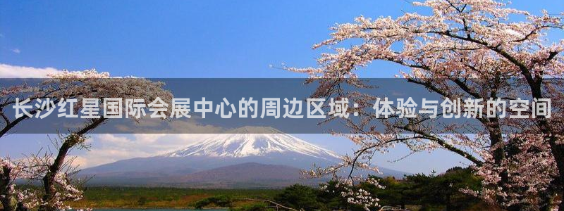 果博公司会员怎么开户