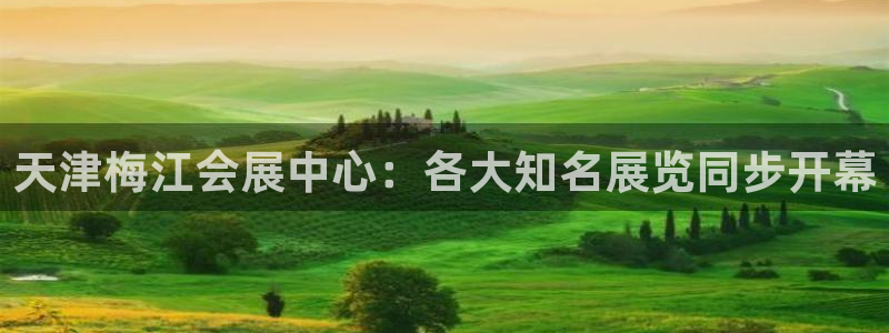 果博平台苹果电脑怎么下载：天津梅江会展中心：各大知名展览同步开幕