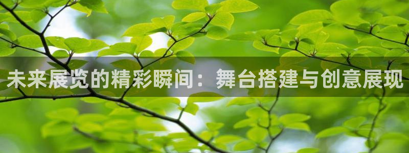 果博官方：未来展览的精彩瞬间：舞台搭建与创意展现